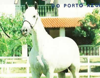 imagem cavalo Baluarte do Porto Azul