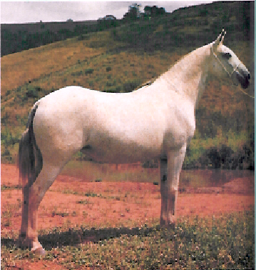 imagem gua Belaba da Santa Terezinha