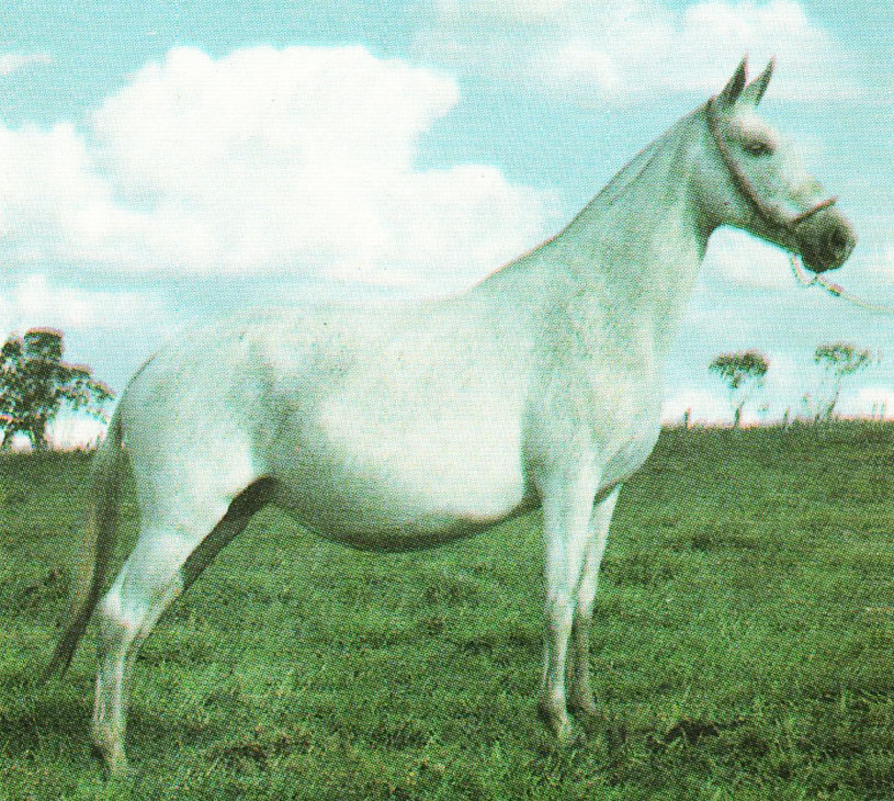 imagem gua Brana da Terra Quebrada