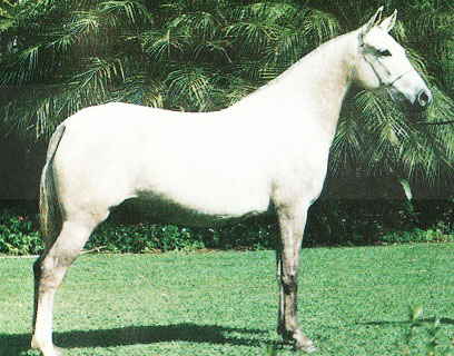 imagem gua Cajarana da Vereda