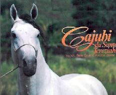 imagem cavalo Cajubi da Santa Terezinha