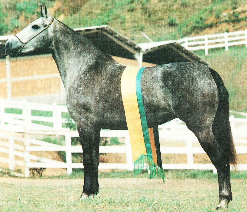 imagem gua Calandra da Ponte Alta