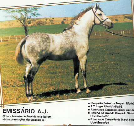 imagem cavalo Emissrio A.J.