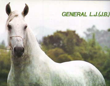 imagem cavalo General L.J.