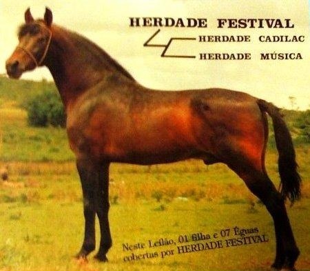 imagem cavalo Herdade Festival