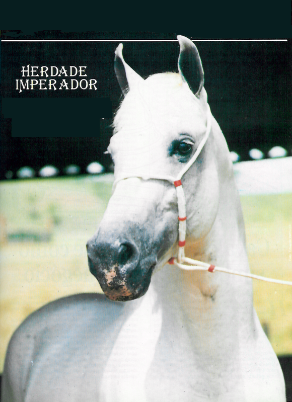 imagem cavalo Herdade Imperador