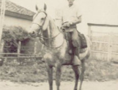 imagem cavalo Herdade Ouro Preto