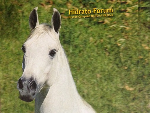 imagem cavalo Hidrato Frum