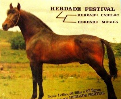 imagem cavalo Herdade Festival