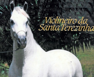 Cavalos - Santa Terezinha, São Paulo