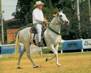 imagem gua Prata Diamantina