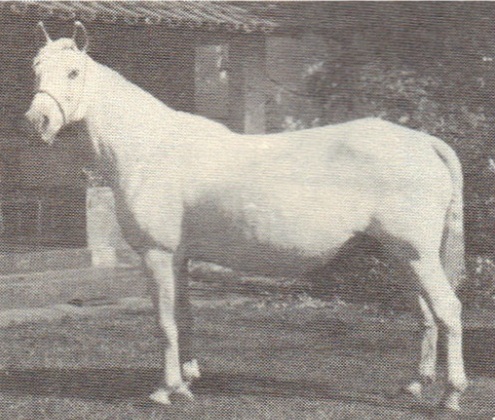 imagem gua Providncia Alvorada