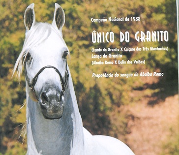 imagem cavalo nico do Granito